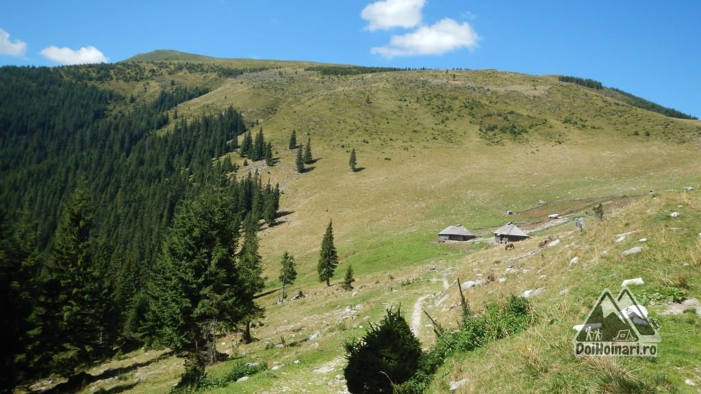 Iesire in Curmătura Oltețului