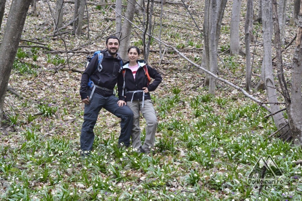 Ghiocei Bogați (și doi hoinari) Ghiocei
