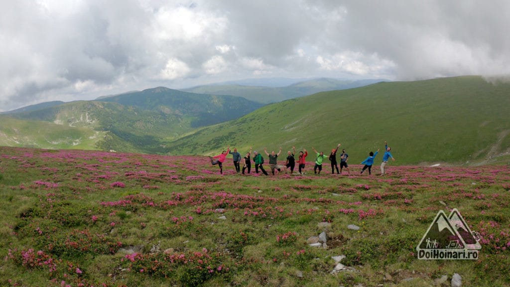 Rhododendron și valea Dengherului Rhododendron și valea Dengherului
