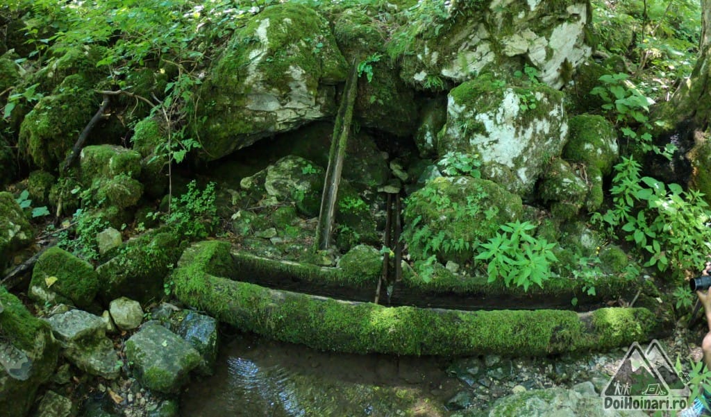 Primul izvor spre Cheile Tâmnei