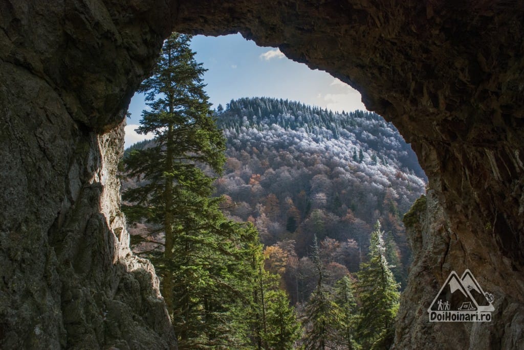 Poarta de Piatră - Cozia