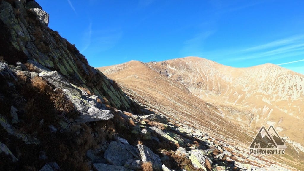 vf. Mândra (2309m, stânga), Parângu Mare (2519m, centru) și Vf. Gruiu (2345, dreapta)