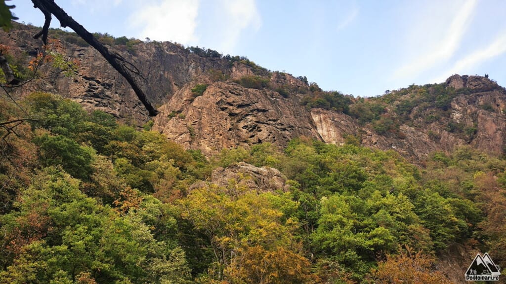 Abruptul sudic al muntelui Basarab