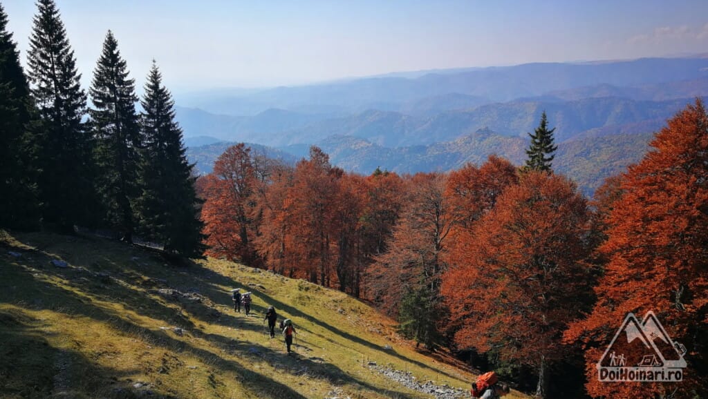 Urcare spre Poiana de Piatră