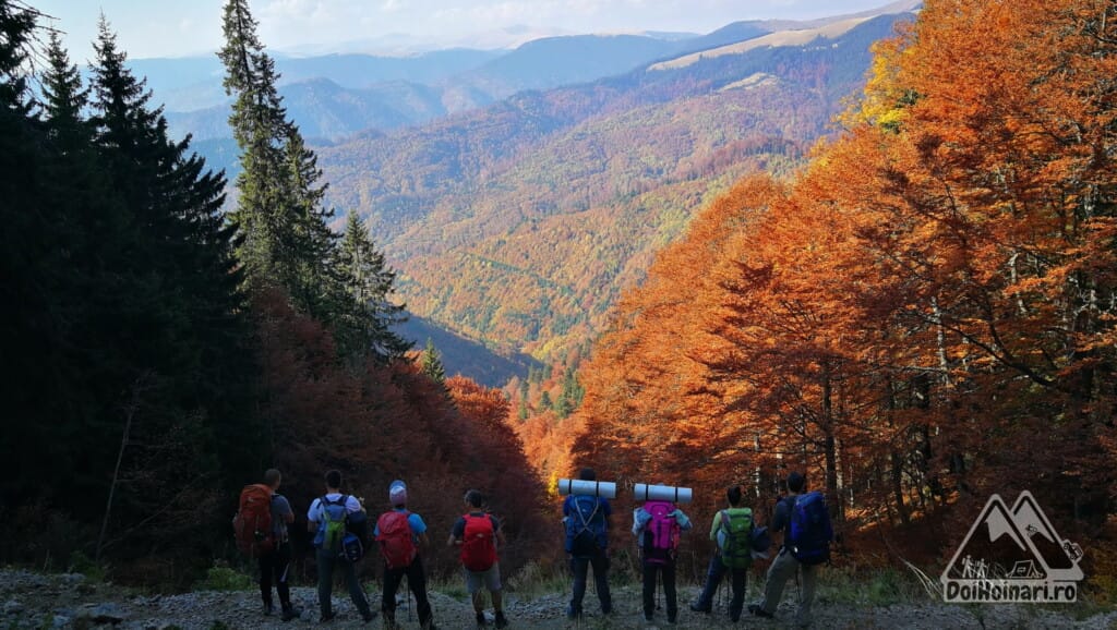 Privind spre munții Căpățânii, din Dosul Builei