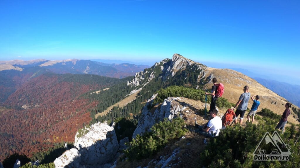 Poiana Piscu cu Brazi, poiana Fața Piscului si vf. Vânturarița Mare