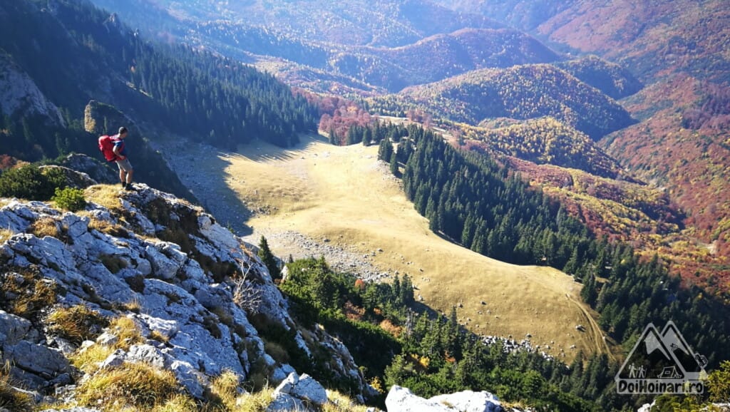 Poiana de Piatră văzută de pe vf. Buila