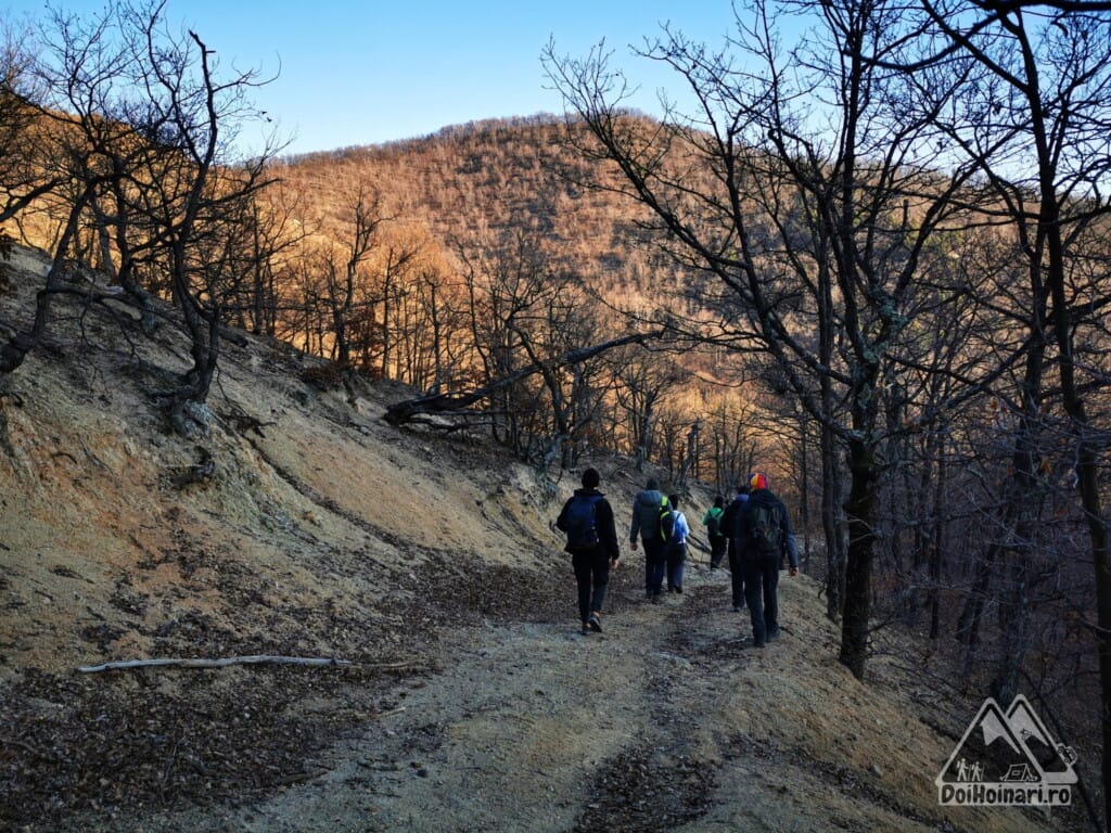 Vârful Trescovăț - Coborâre