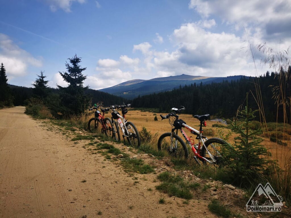 Varfurile Șteflești și Cristești în depărtare