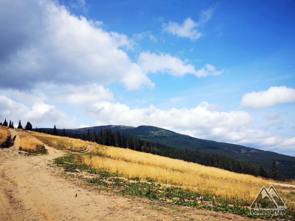 Vârful Cindrel văzut din Șaua Șteflești