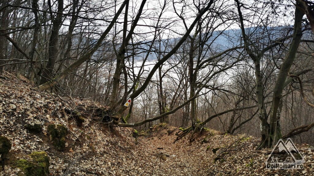 Urcarea inițială spre Ciucaru Mic