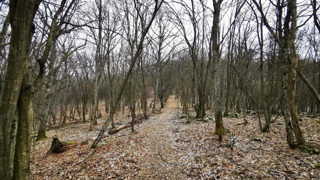 Poteca, după intersecție