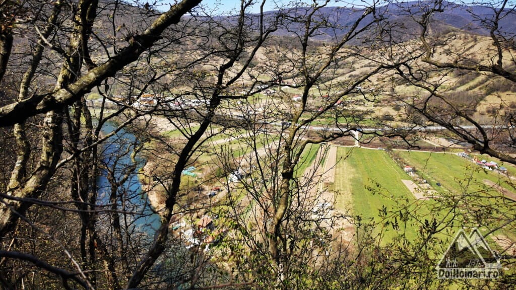 Cerna, printre copaci