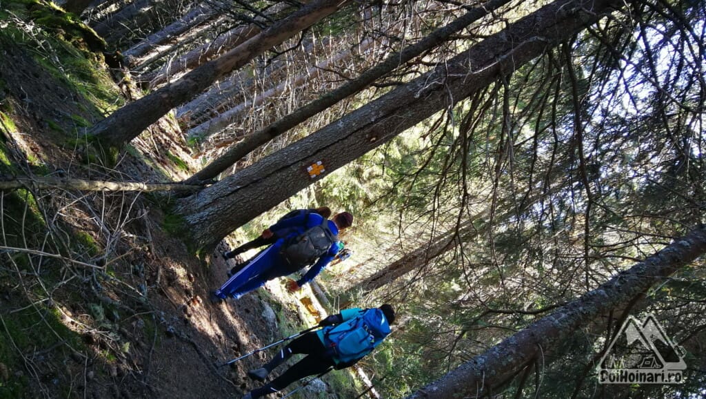 Marcaj Cruce Galbenă