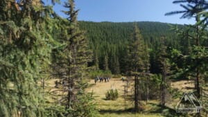 Spre Lacul Iezerul Latoriței