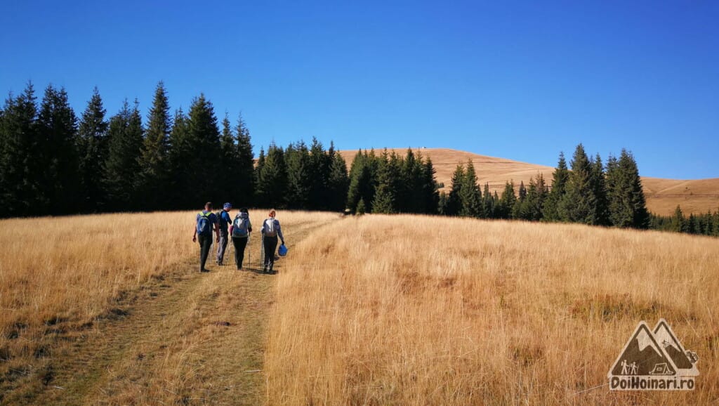 Urcând spre Strategica