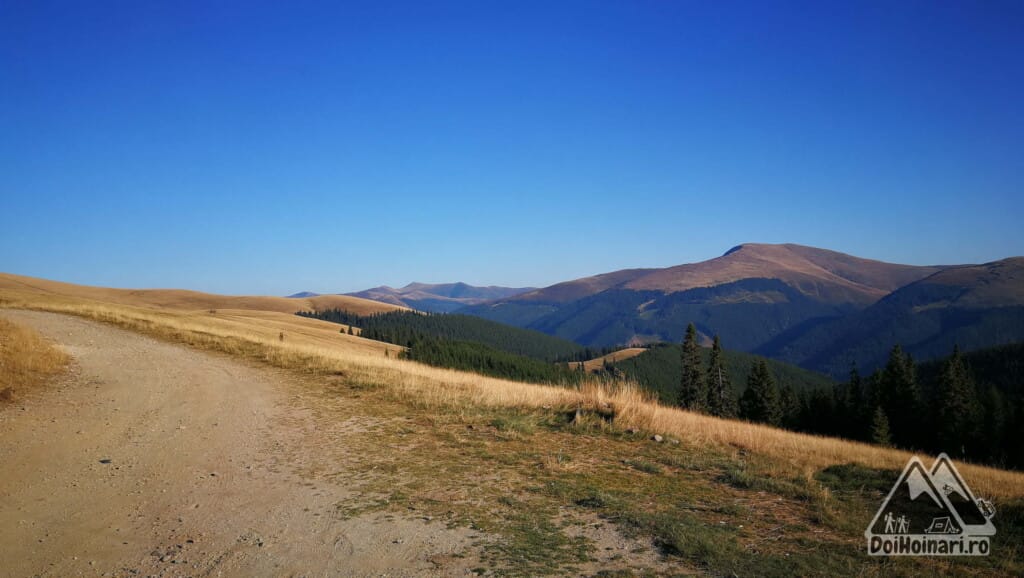 Vedere spre munții Căpățânii, din drumul Strategic