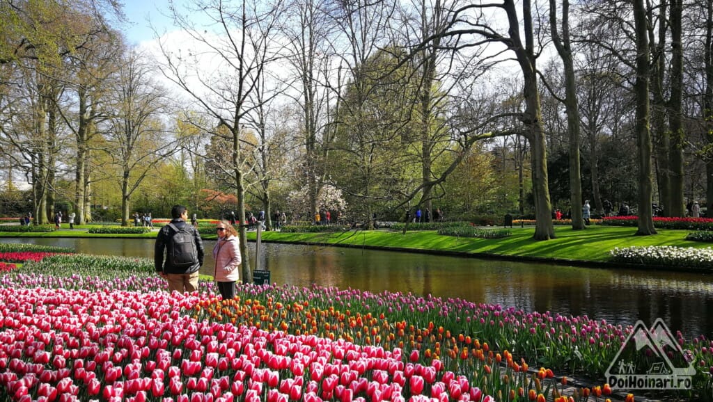 Keukenhof