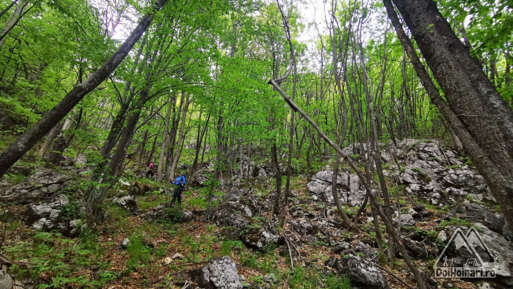 Coborarea spre Cloșani pe punct roșu