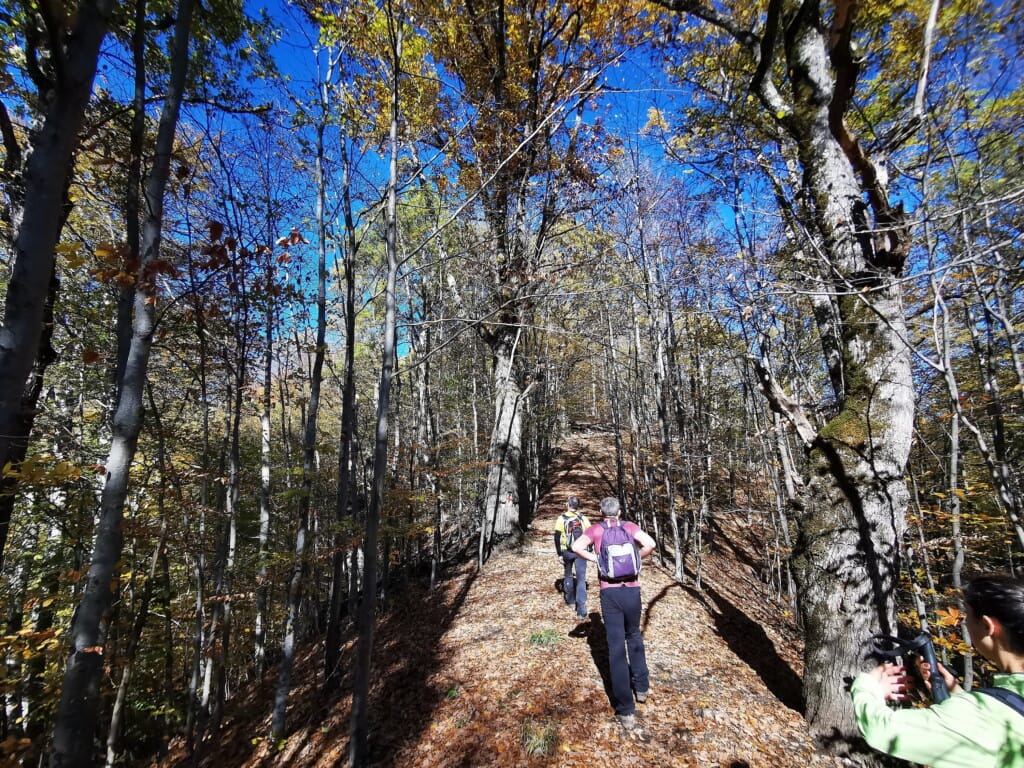 Urcare pe muchia Coșarei