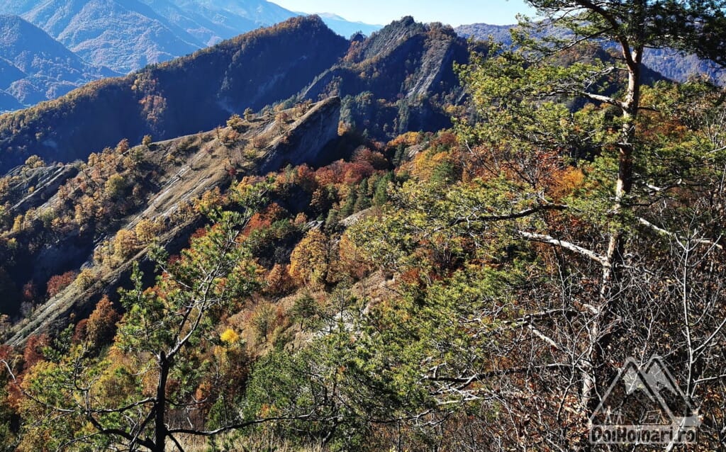 Vârful Zimbru (650m)