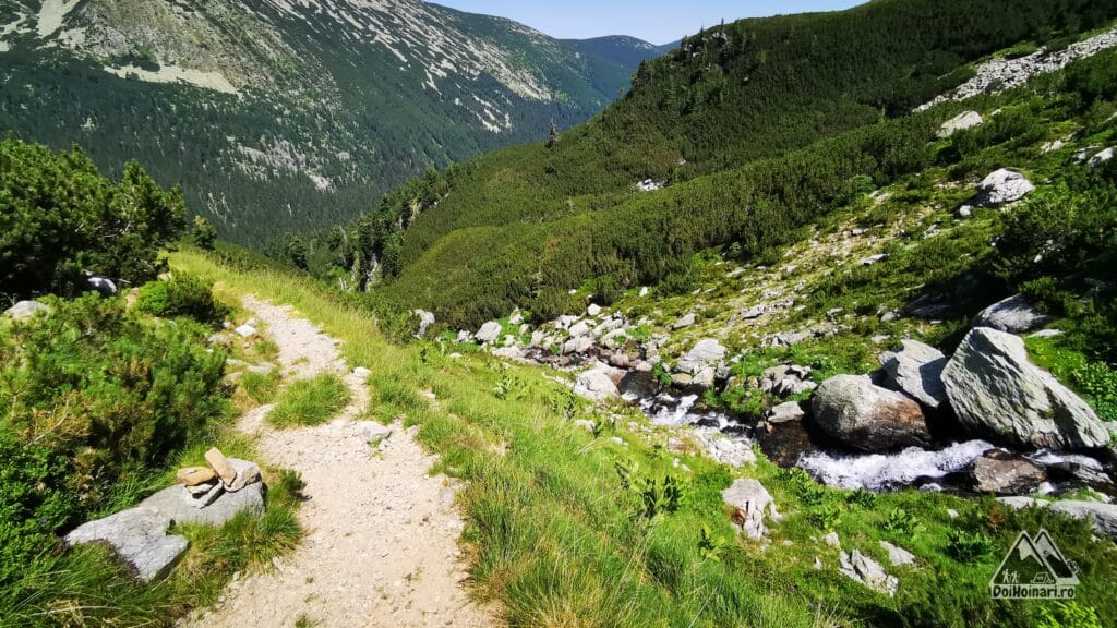 La coborâre urmăm poteca bătută, la urcare am venit din jenepenii din față (paralel cu apa)