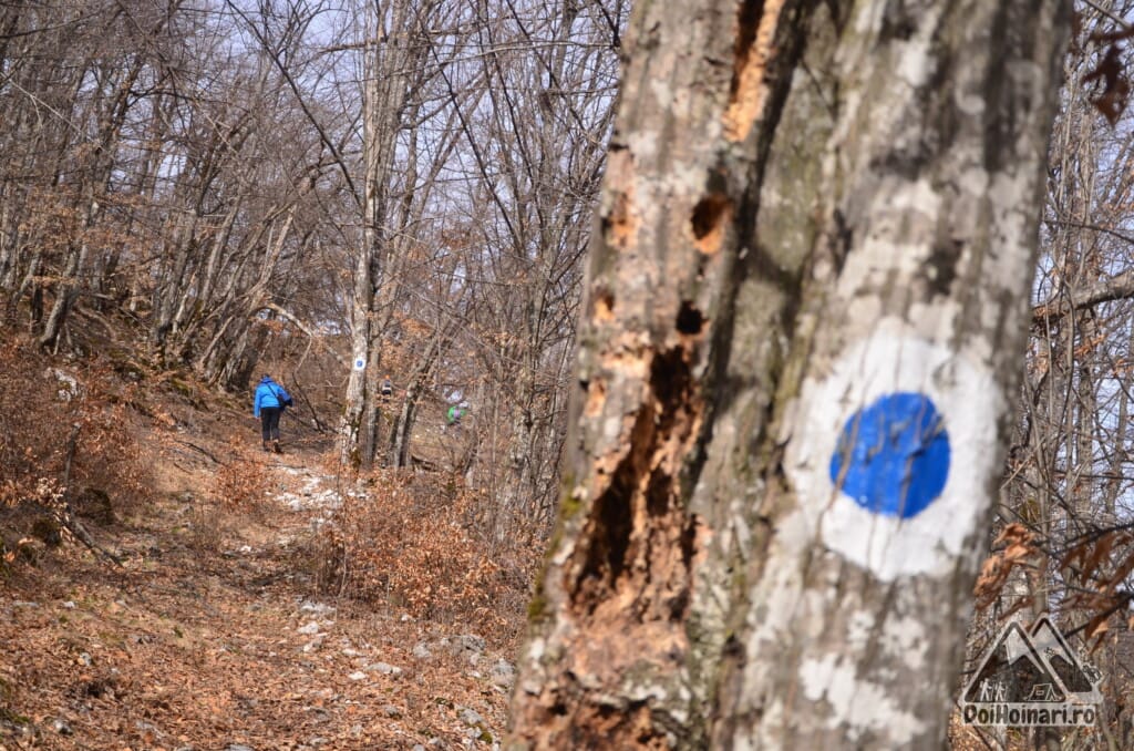 Urcarea din Baia de Fier