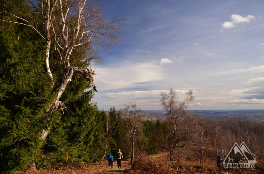 Hotărâm să traversăm poiana, spre dreapta