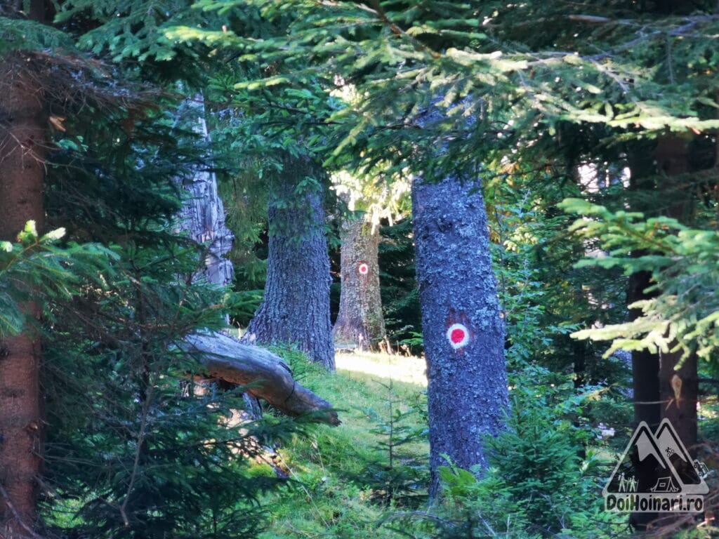 Traseul este foarte bine marcat