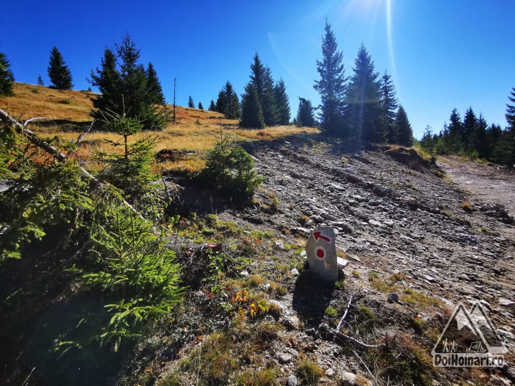 Prima schimbare de direcție