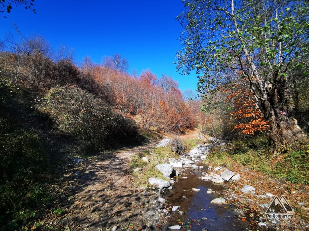 Trecem apa și facem stânga