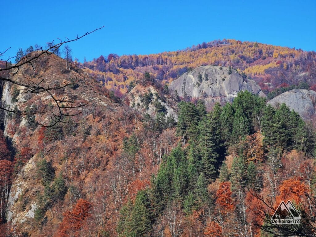 Spre Poiana Suliței peste vf. Zimbru