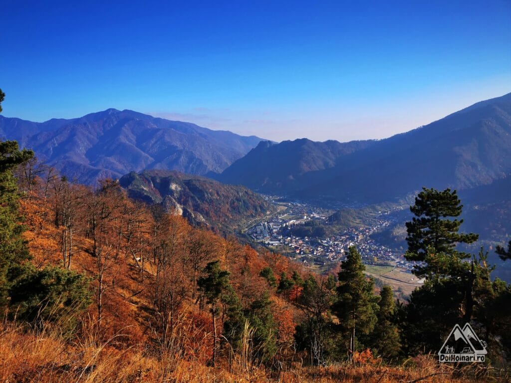 Brezoiul văzut de pe vf. Doabra, Cozia în fundal