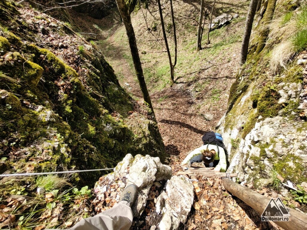 Urcare pe scara de lemn