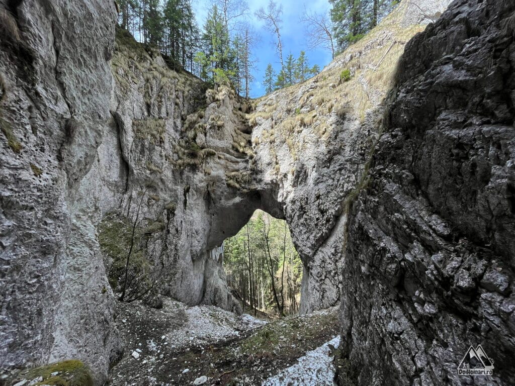 Podul Suspendat din Dâlma Ciocanelor