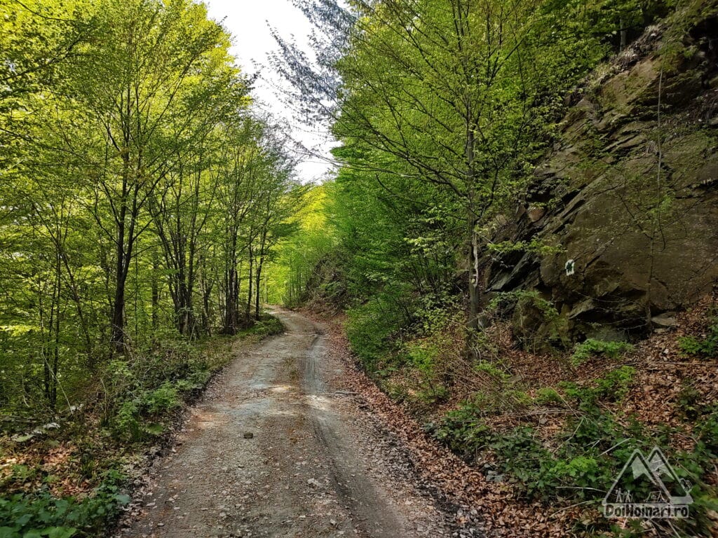 Drumul spre Trecătoarea Lupilor