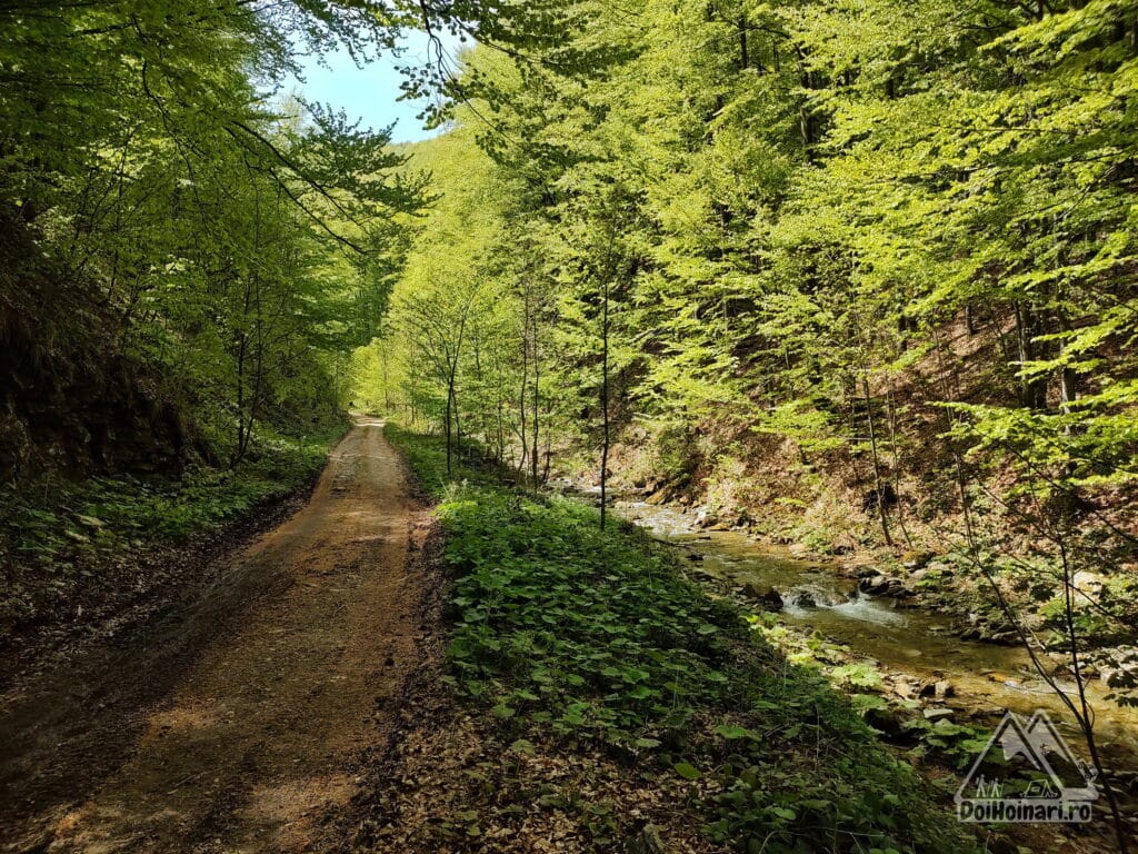Drumul spre Trecătoarea Lupilor este ușor și plăcut