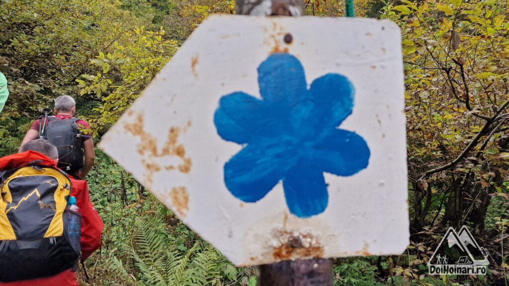 Aici traseul merge spre stânga. Noi, înainte