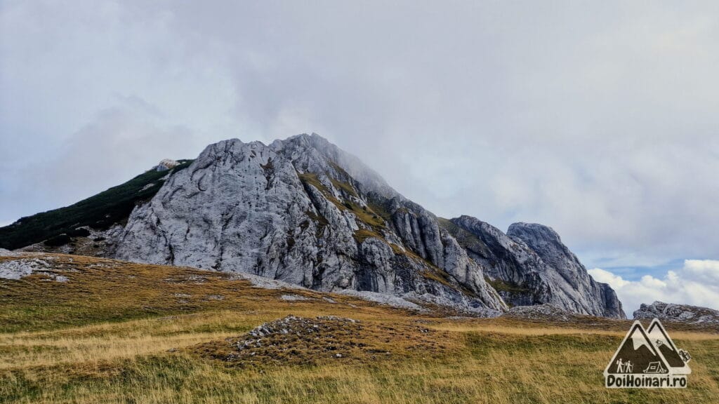 Vârful Piatra Iorgovanului (2014m)