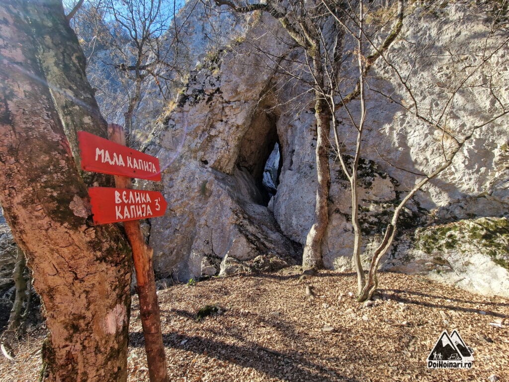 Crăpătura dintre stânci