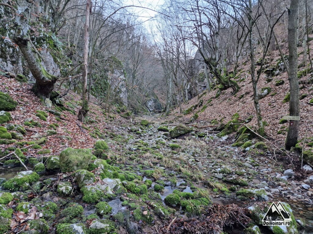 Albia secată a râului Vratna