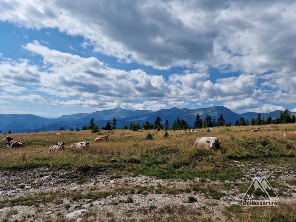 Parângu Mare (2519m), în centru-stânga