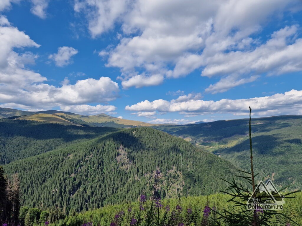 În departare, vârful Micaia din Parâng, iar în dreapta vf. Negovanu din Căpățânii