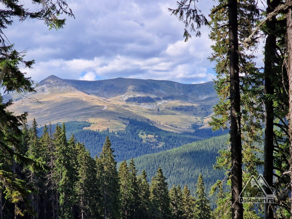 Vârful Păpușa (2136m)